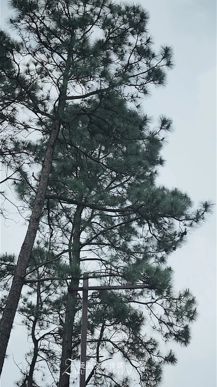 古风这样拍也很美