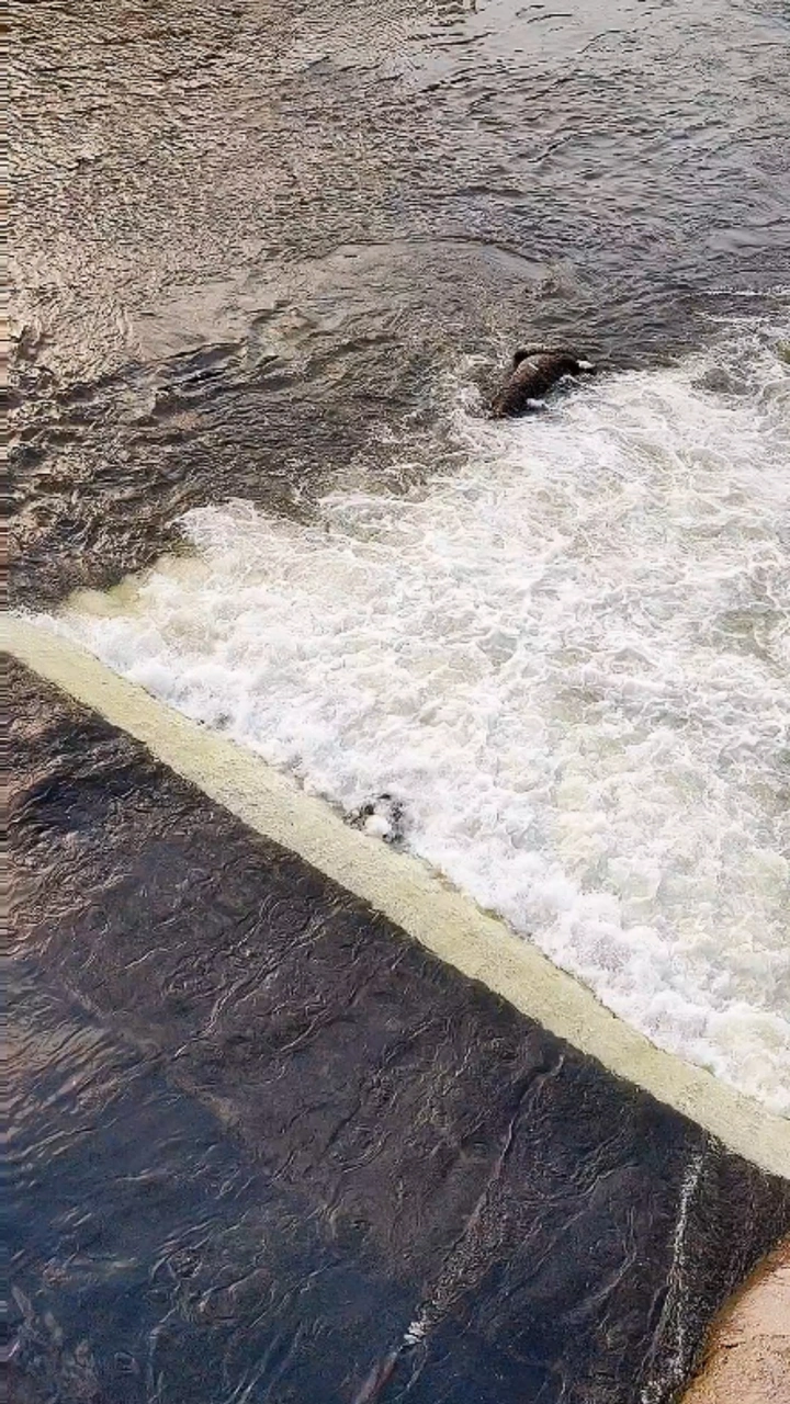 流水