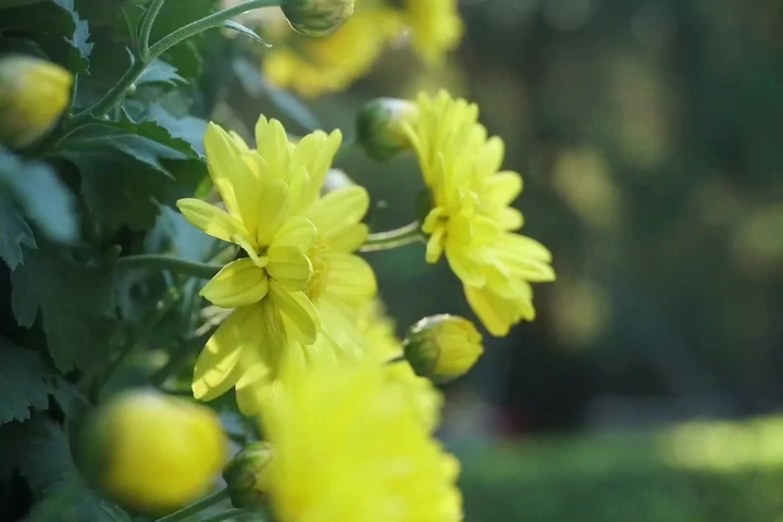 拿起相机的第一年