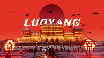 杀死比尔百万专场，洛阳
