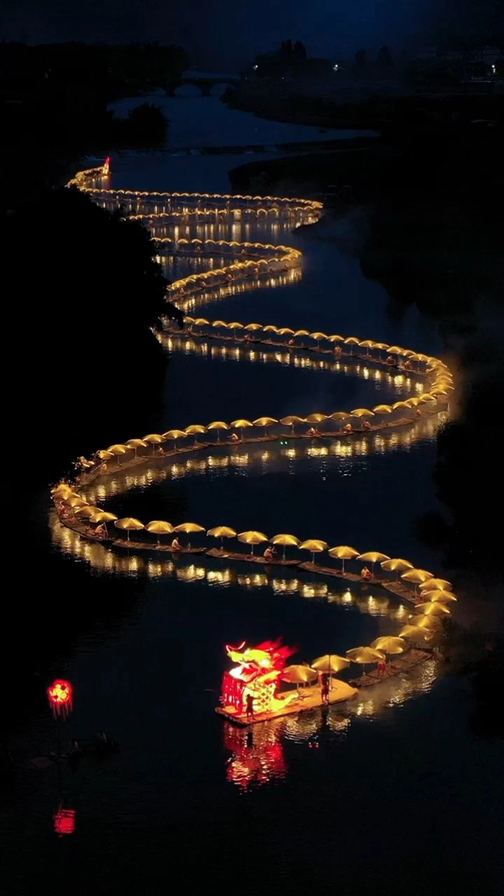 金龙遨游