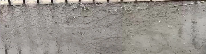 雨，及时雨