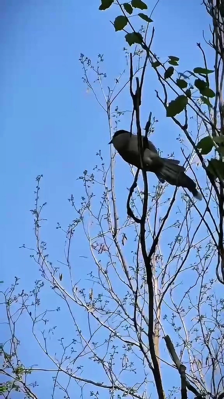 森系·自在