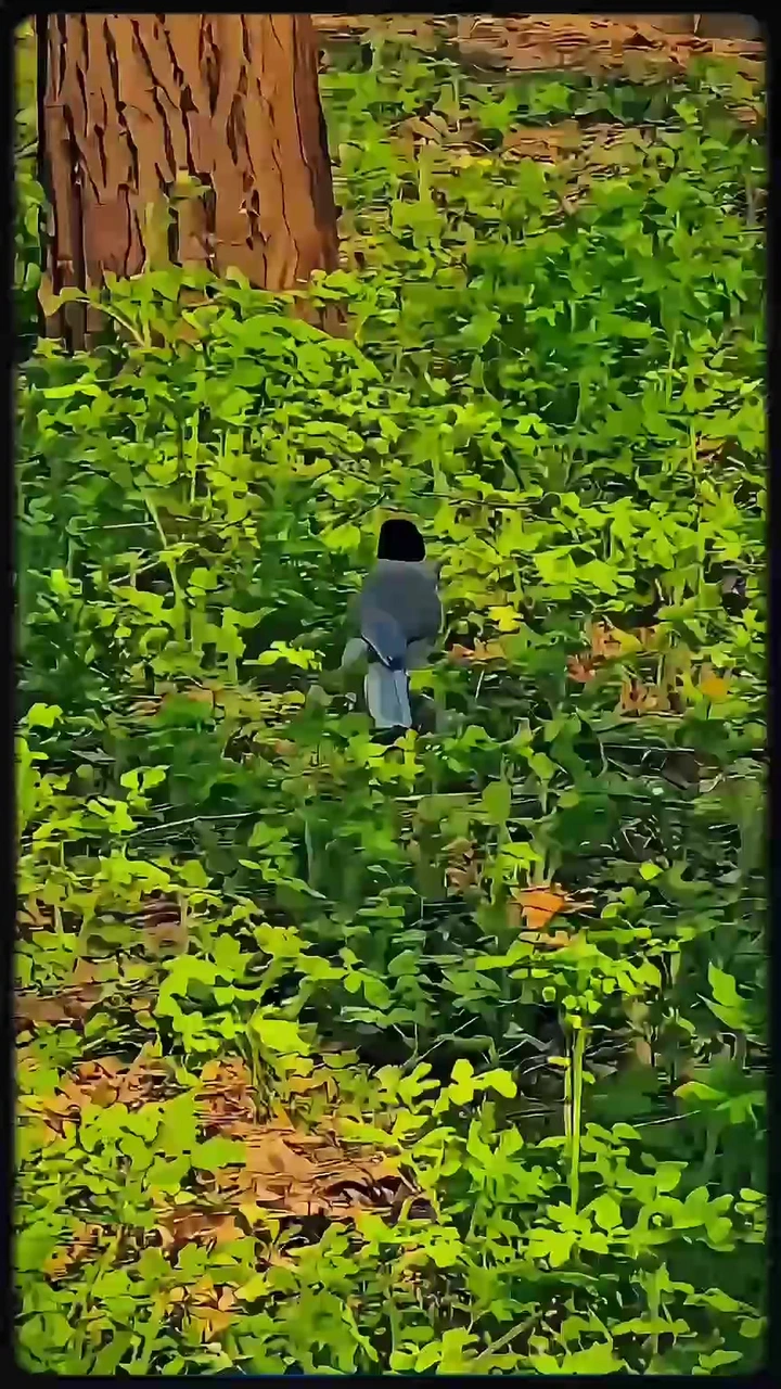 春光正好