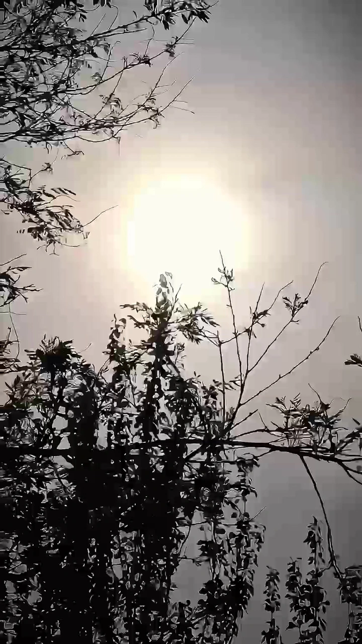唤醒清晨