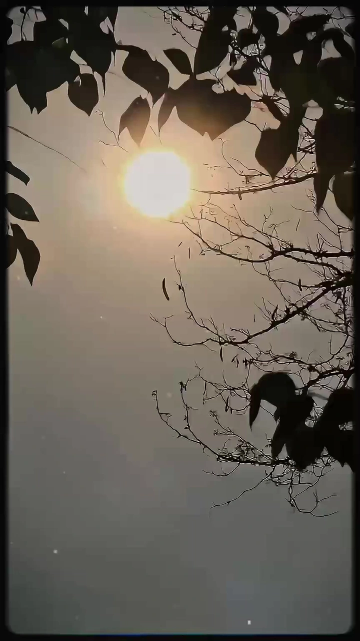 静谧时光