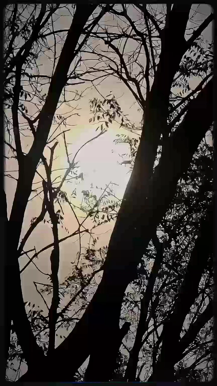 初夏