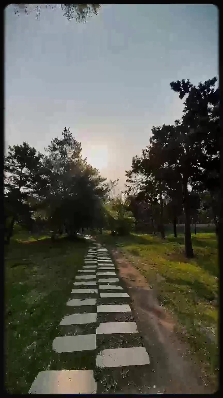 五月