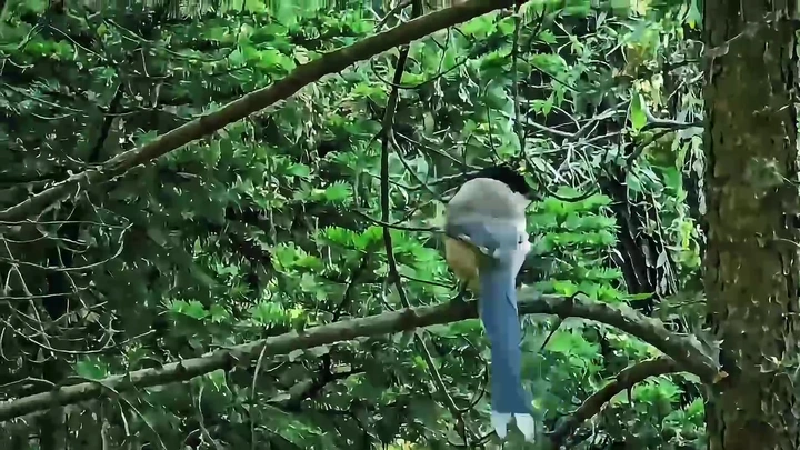放空