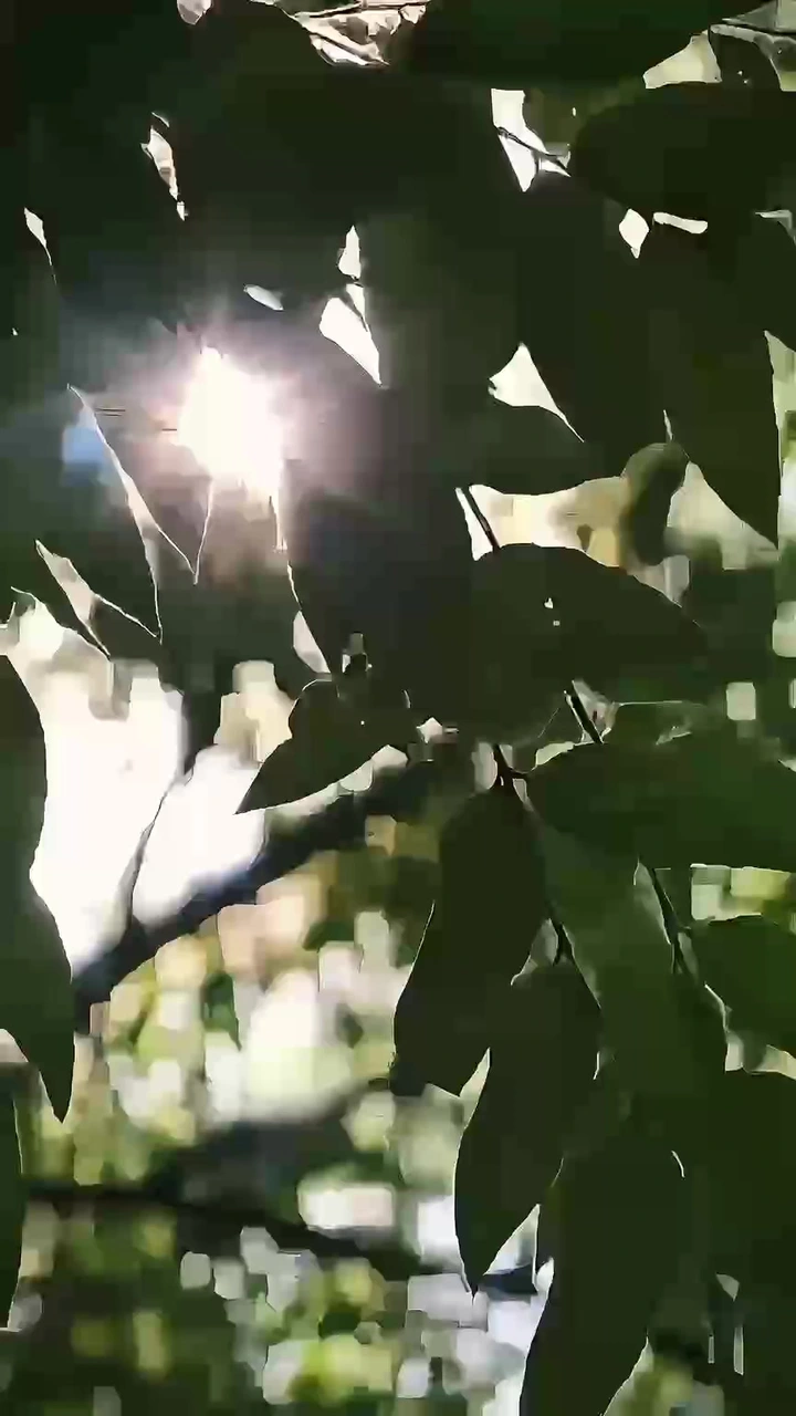 静谧时光