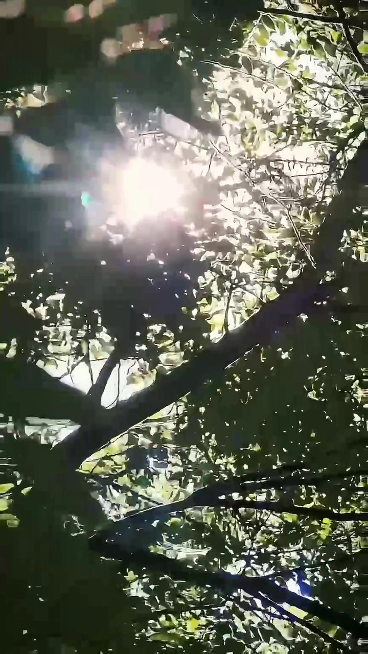 简单的日子