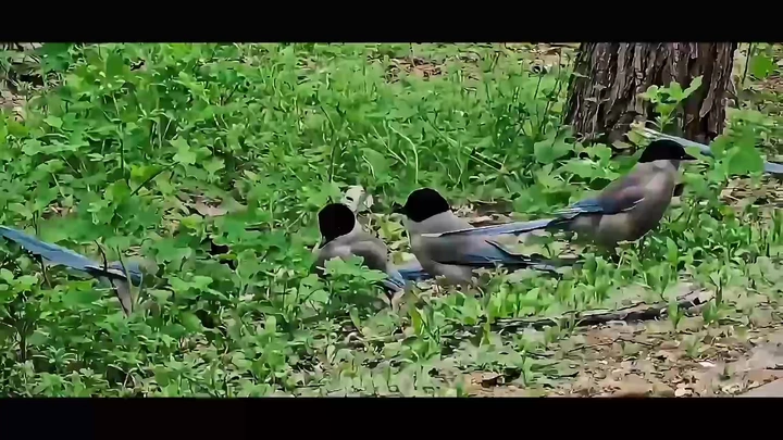 散会