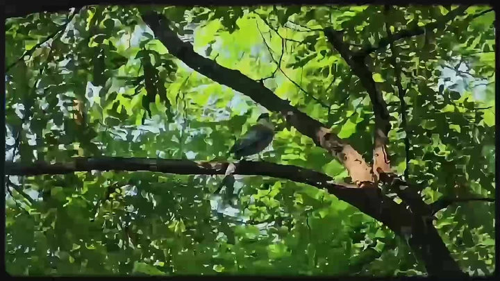 自在