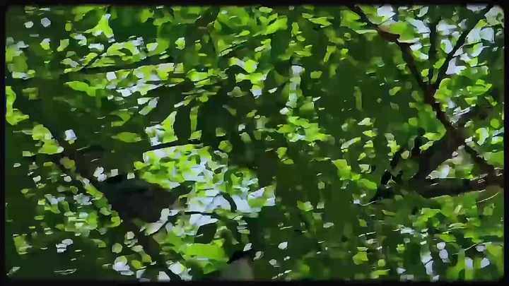 简单的美好