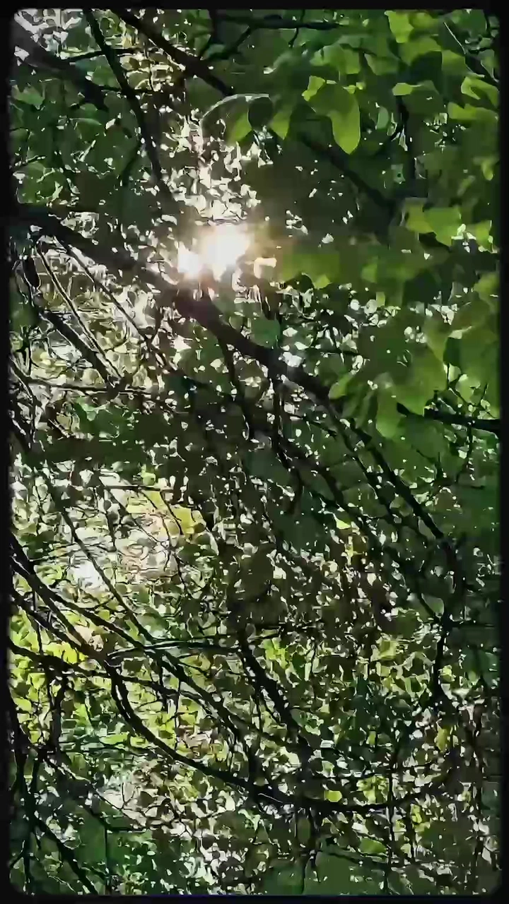 清晨时分