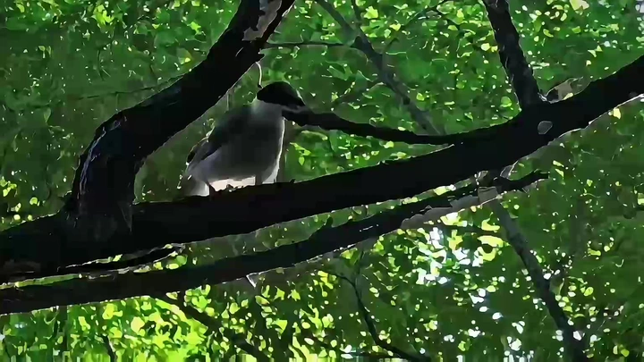 夏日·小时光