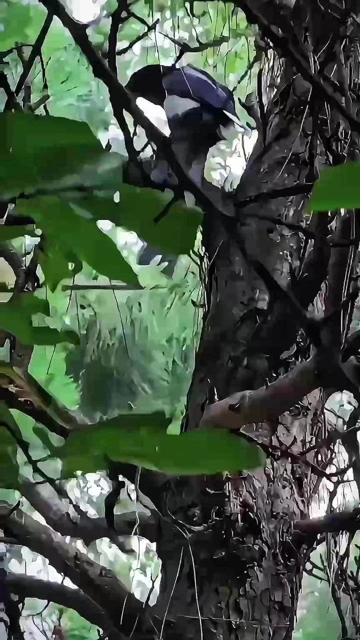 静谧此刻