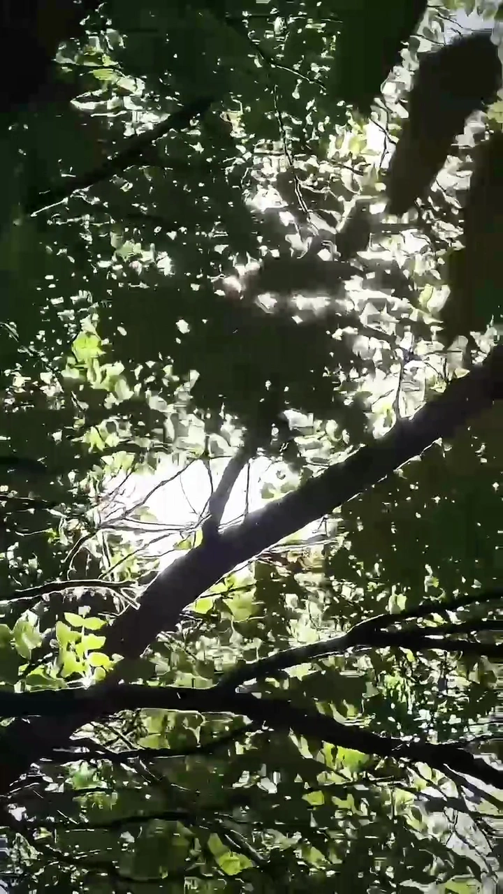 静谧时光