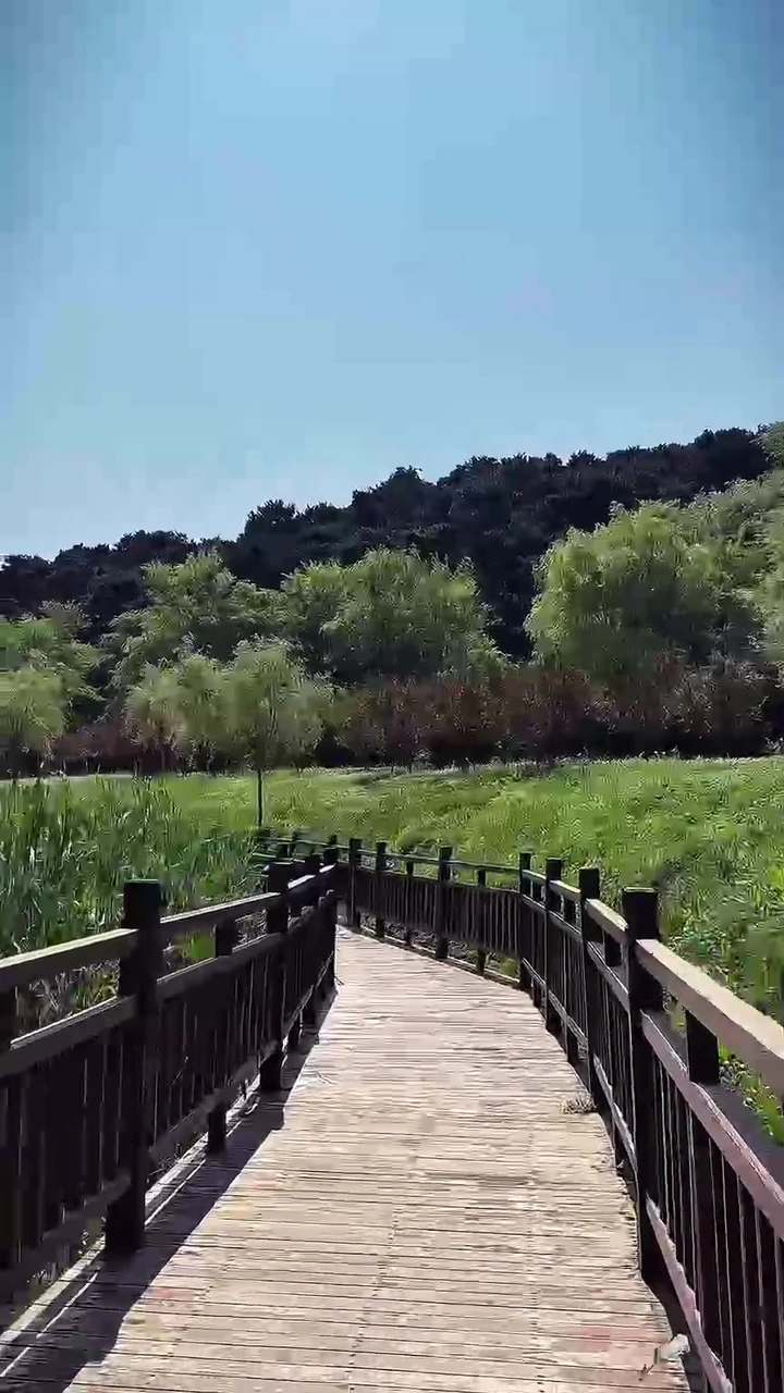夏日清凉