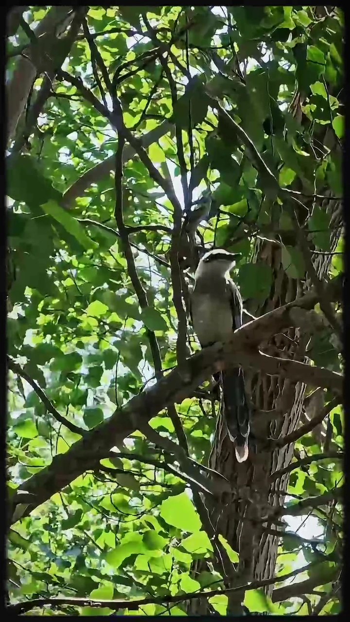 惬意时光