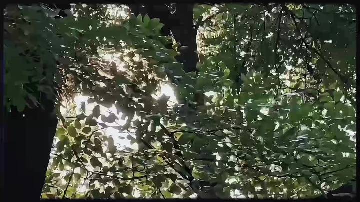 自在