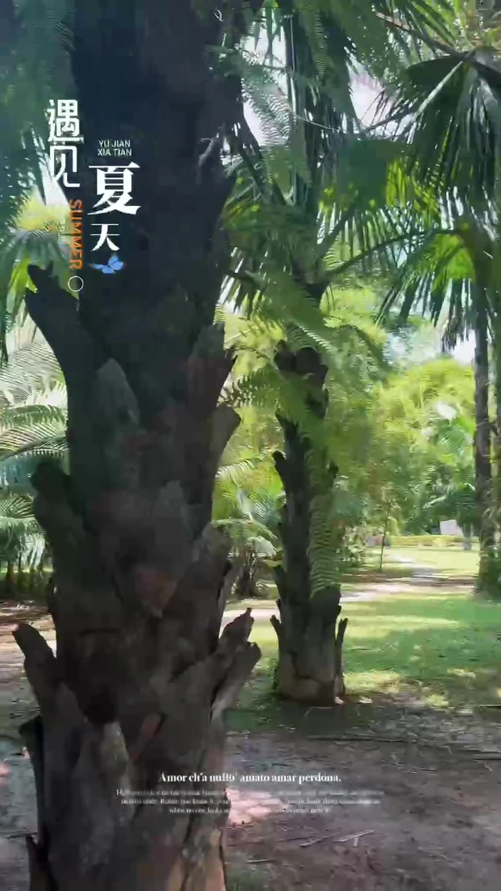 夏天的天气真是说变就变☀️→🌧️！