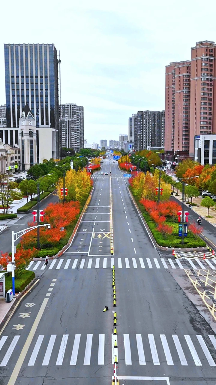 秋天的上海路
