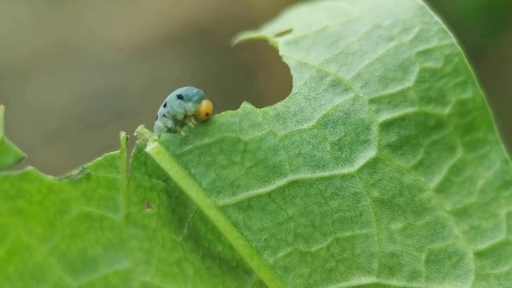 万物皆美
