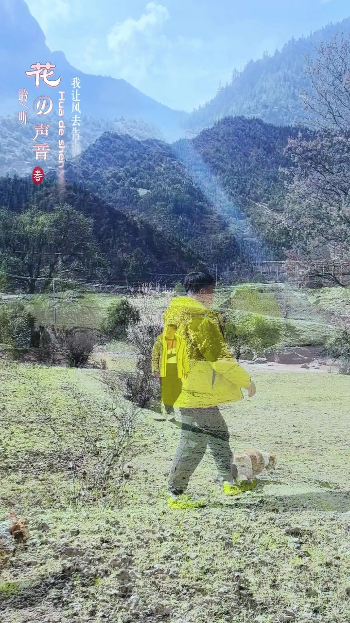 西藏旅游
