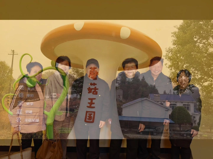 祝姑妈生日快乐，健康长寿！