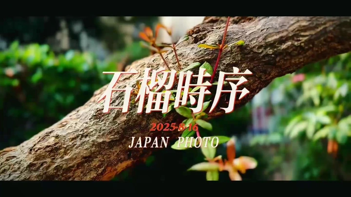 石榴时序