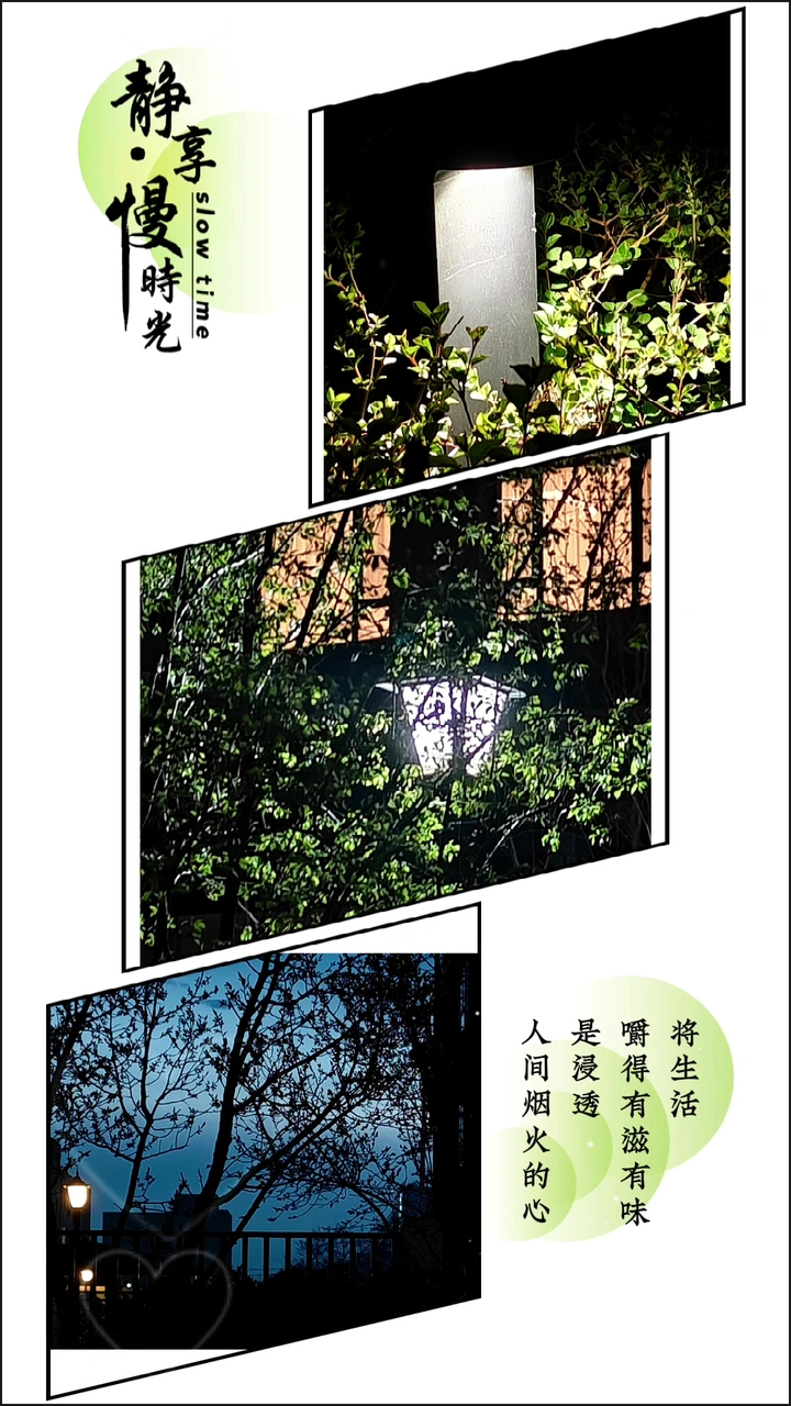 树欲静而风不止