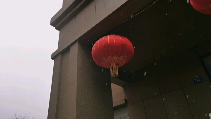 下了雪的情人节