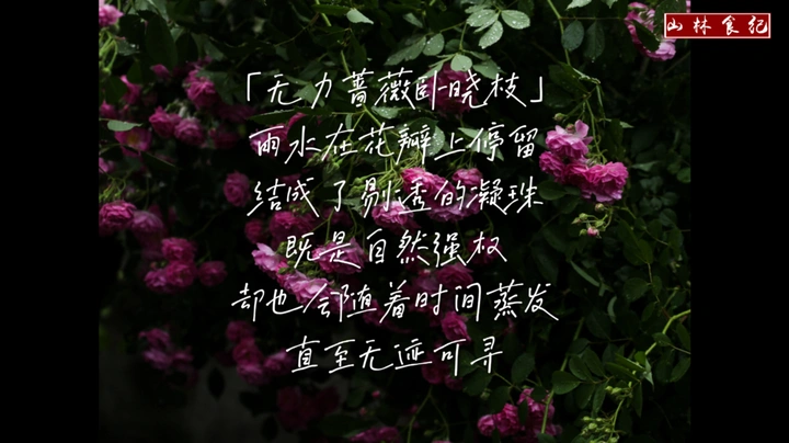 一场大雨，你们便会低头。