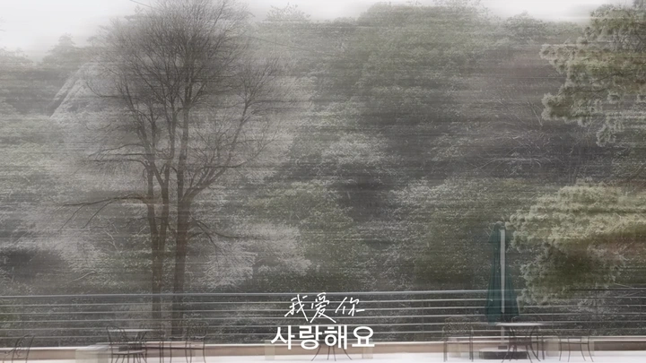 浪漫的日子里又飘起了雪
