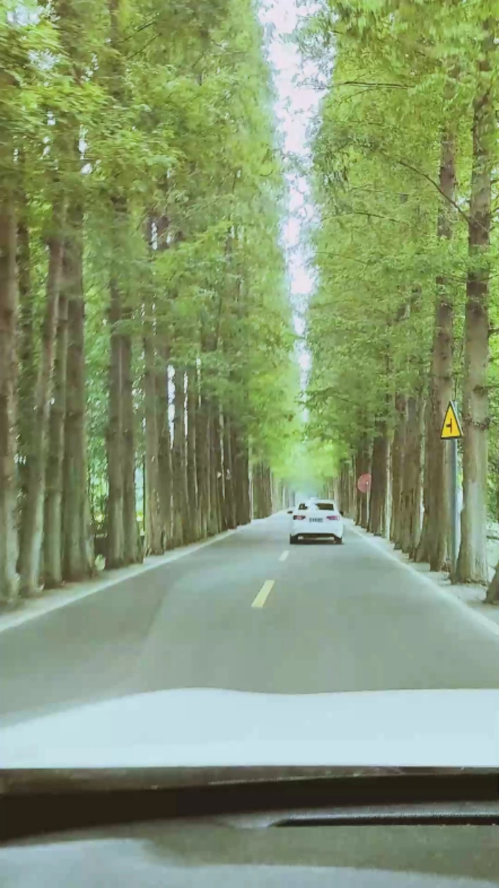 漂亮的乡村小路