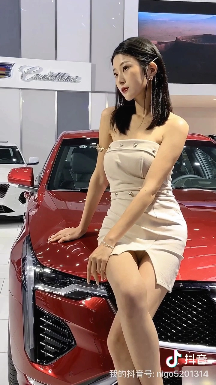 佛山车展醉性感车模