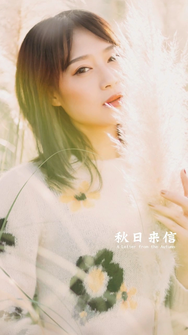 芦苇