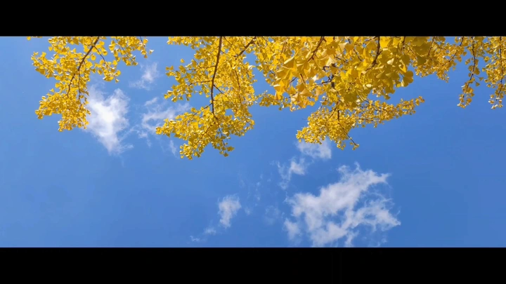 秋
