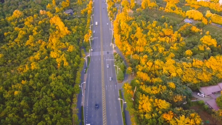 蜀山脚下，最美公路（小白，求大佬们关注）