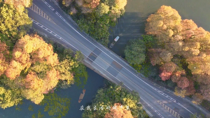 2021年度总结·航拍