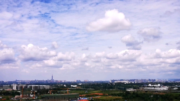 光与影，静与动。