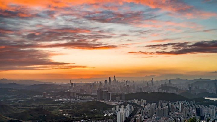 小梧桐日落延时