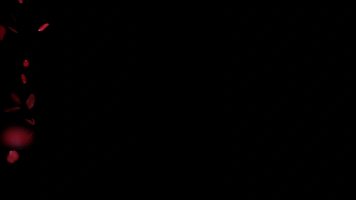 千岛湖回忆