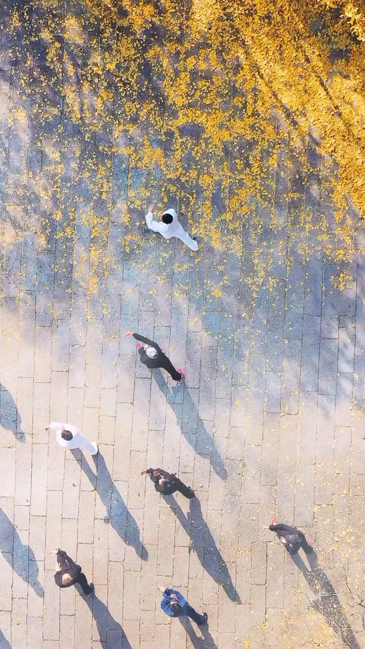 云麓仙境