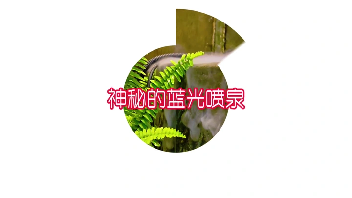 神秘的蓝光喷泉