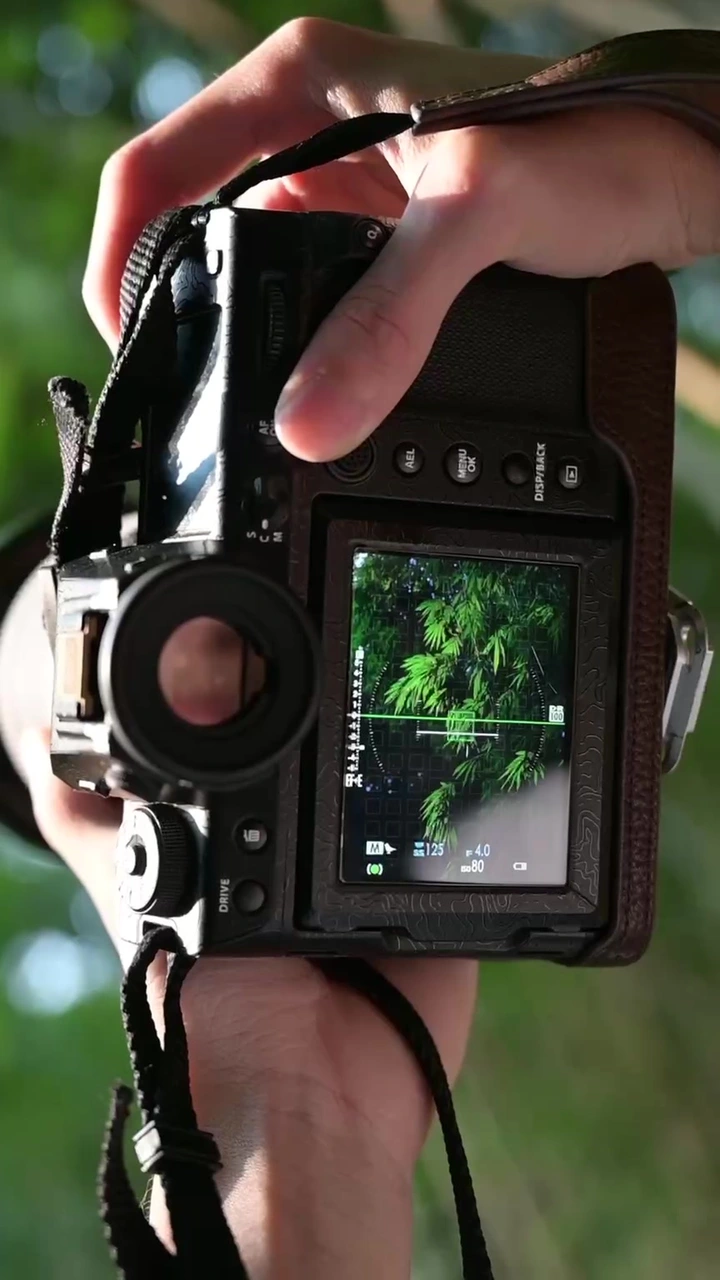 冉冉秋光留不住，中幅来记录