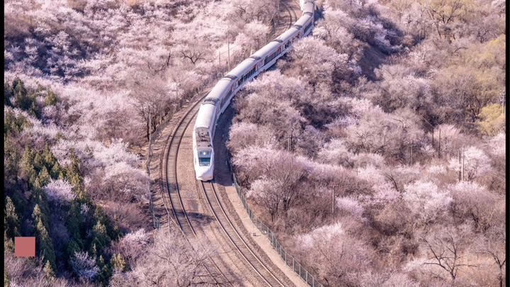 开往春天的列车