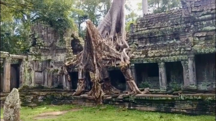 柬埔寨🇰🇭