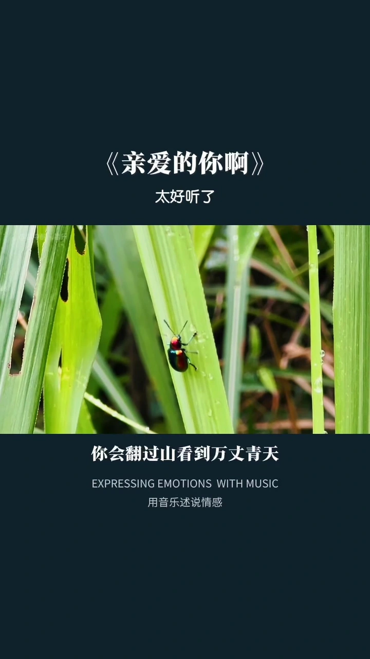 好听的音乐